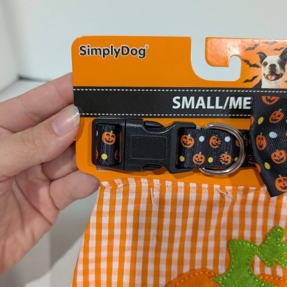 NWT Simply Dog Halloween Collar & Bandana Set - Orange and Black